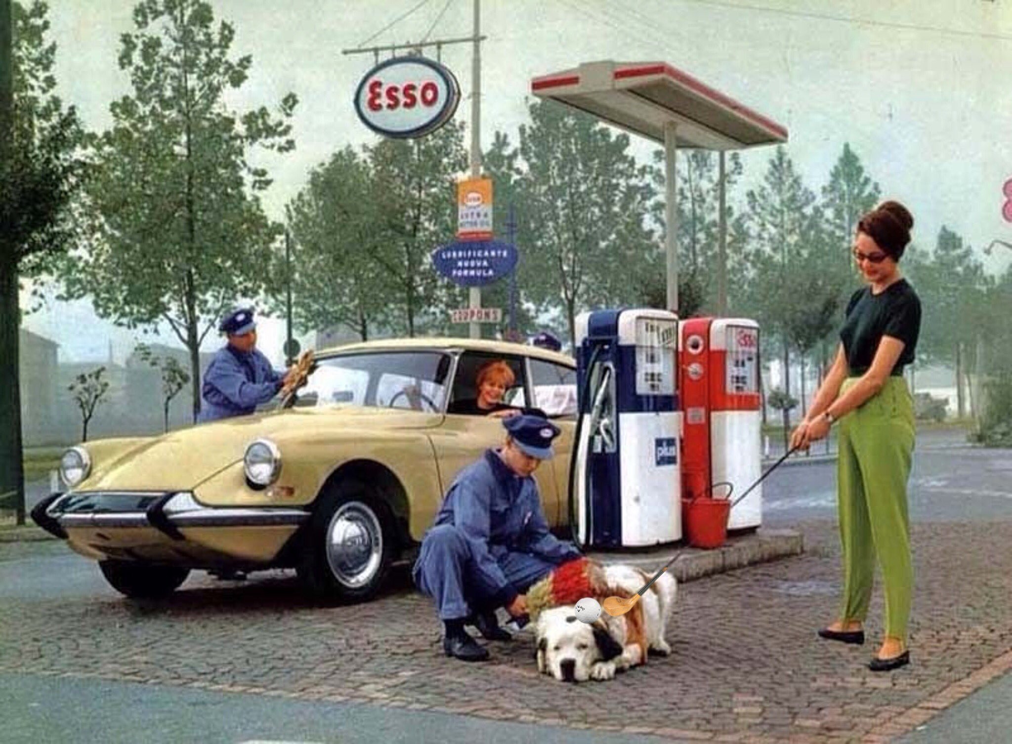 Peter Rutter on Twitter: