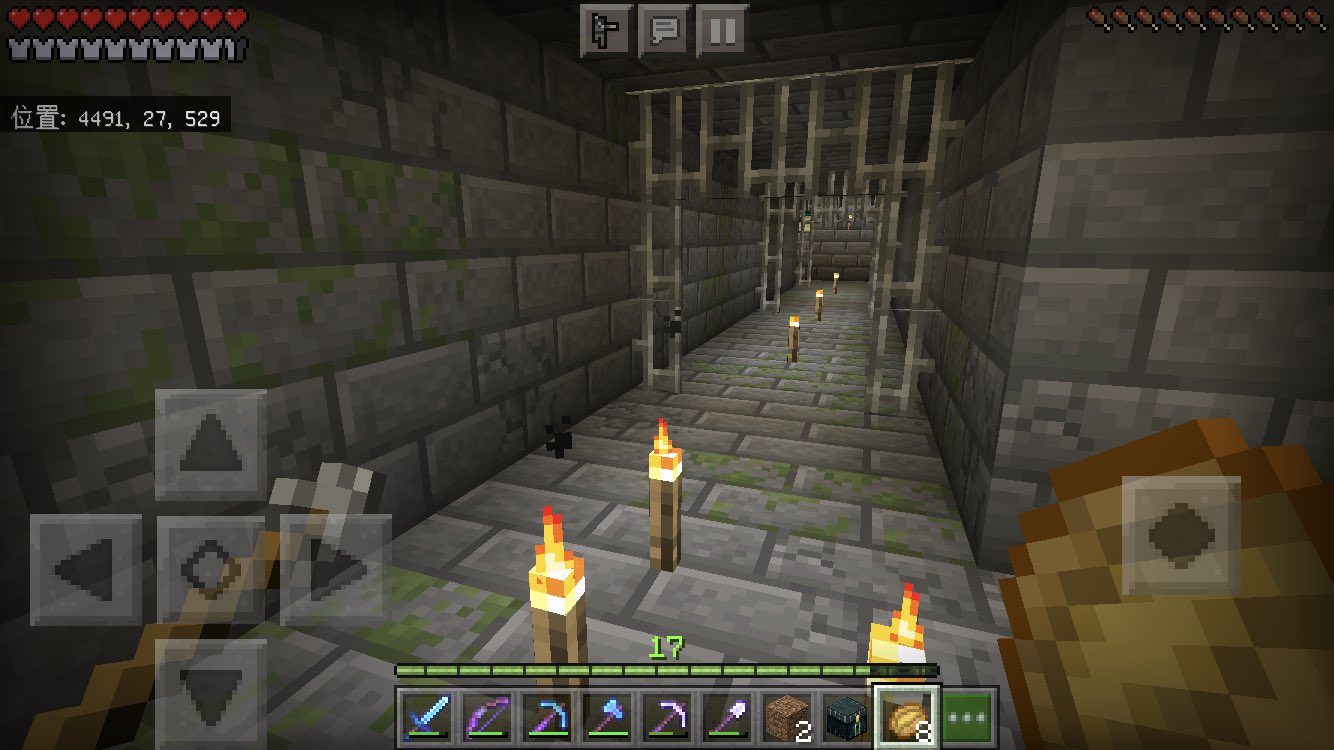 Saekagames サエサブワールド 村の下に廃坑 廃坑の下にエンド要塞があった マイクラ マインクラフト Minecraft T Co Yoajafnniv Twitter