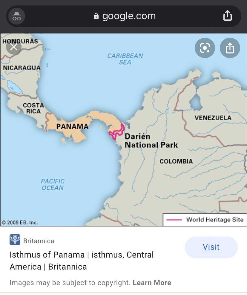 Papacoté 🇵🇦🇨🇷🫡💐 tweet media