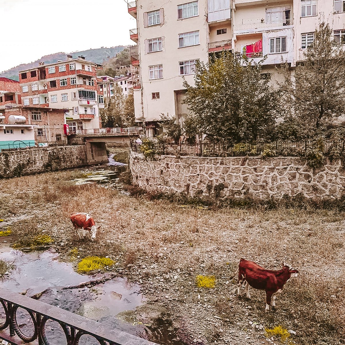 İsimsiz bir sıkıntı yüzümü asıyor...