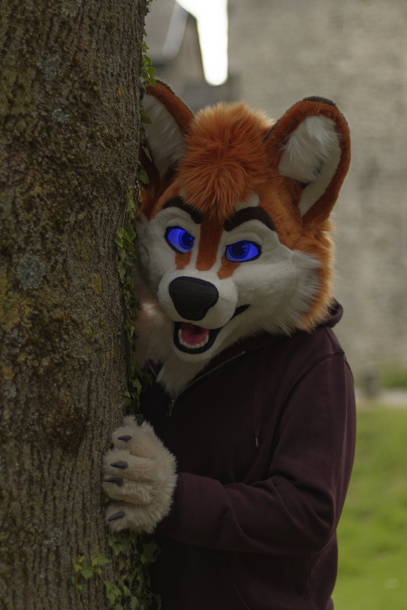 Good boy is coming for you..

#FursuitFriday

✂️: <a href="/TheKarelia/">TheKareliaFursuits 🔜 NFC</a> 
📷: <a href="/Cuddlemango/">Samourin Mangomeow</a>