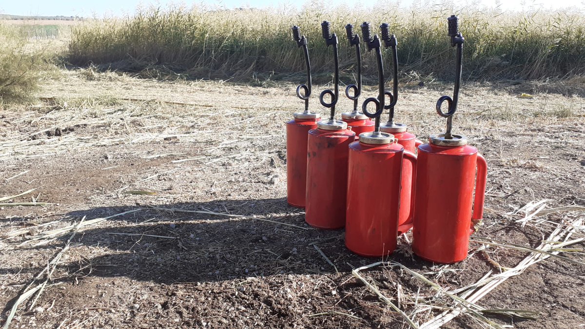 Hoy realizamos #QuemaPrescrita experimental en #EPLagunadeFuentedePiedra #Málaga. Impulsada por el propio EP y que continúa la de 2018. Objetivo: reducir la presencia del carrizo (Phragmites australis), exótica invasora, abriendo nuevos espacios a la fauna protegida de la laguna.