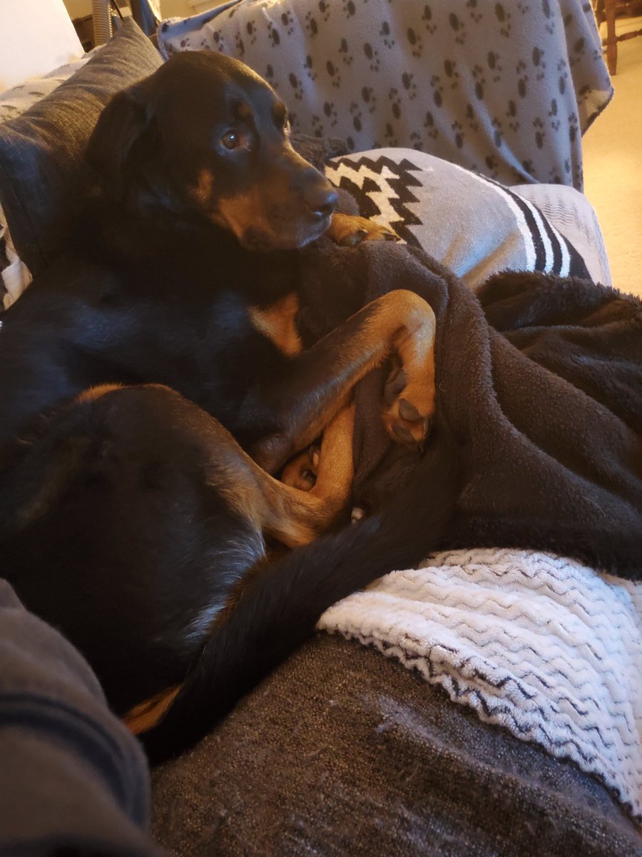 Zeda_Star's tweet photo. Watching Tron. I don't think she is a fan.. look at that worried face! https://t.co/D8LmfoitkC