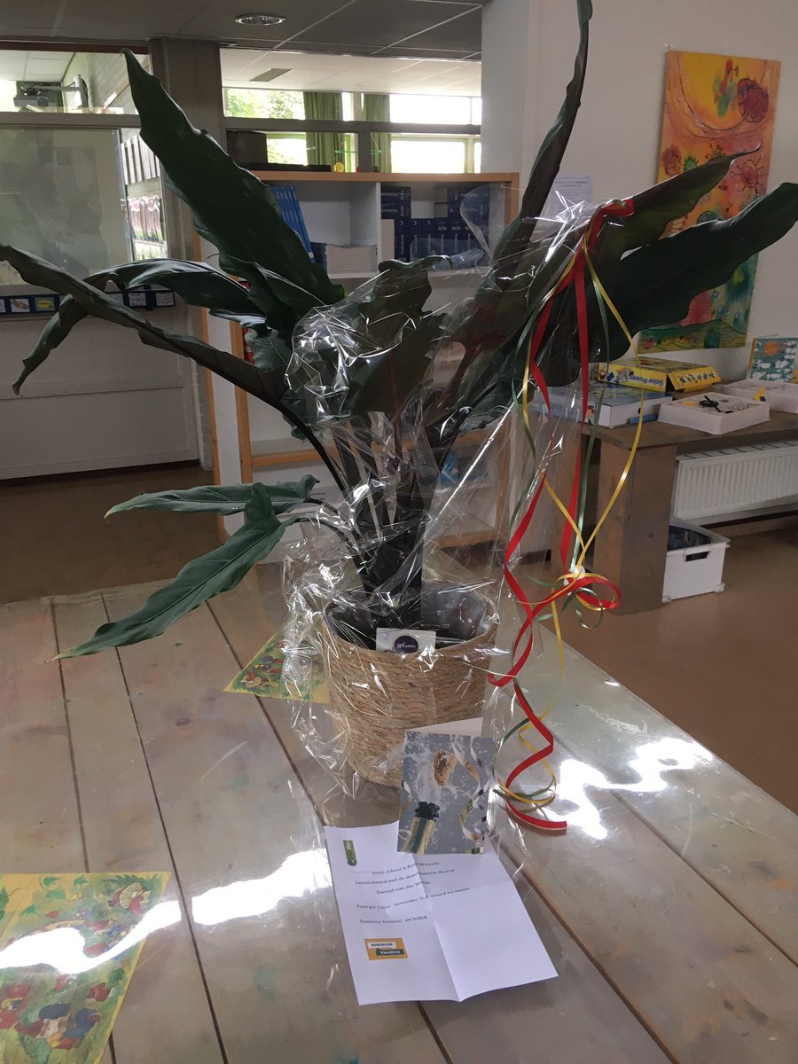 Tank <a href="/grieneko/">Grieneko</a>, wat attint! In prachtige plant as felisitaasje mei ús ‘duurzaamste docent’ <a href="/EwoudvdW/">Ewoud van der Weide</a>. Krijt fansels in moai plakje yn ‘e skoalle!