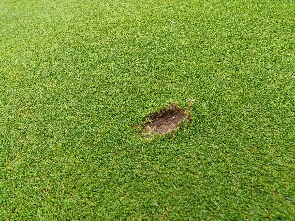 GillinghamGC's tweet photo. Not what we expect to see on one of the greens! Please repair all pitch marks and do not take a divot on the green. https://t.co/P3Zdxaca7A