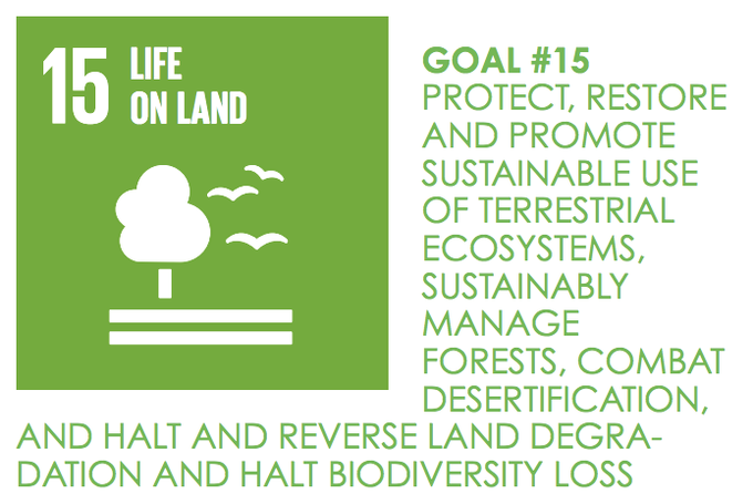 Today on #WorldFoodDay the role that organic farming has to play in sustainable food production is critical. We need to transform current food systems, organic is part of the solution. Listening to speakers on the Food2030 conference on how research & innovation can assist #SDG15