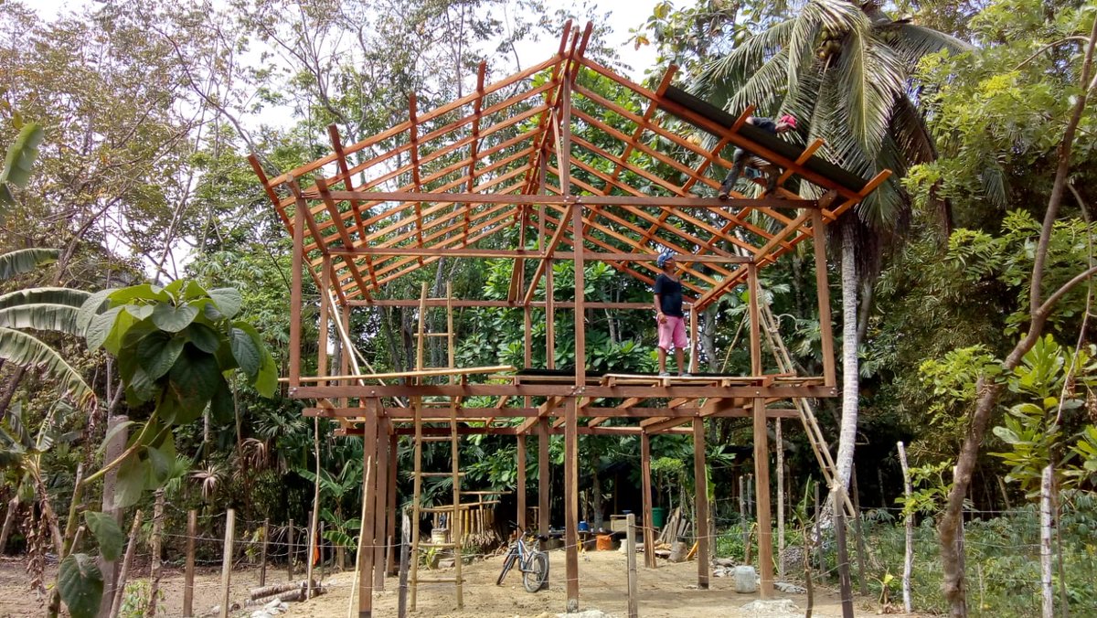 OriolQF's tweet photo. Y al fin, el sueño de toda la vida de Galo se va a cumplir.

Le falta aún bastante trabajo, pero su casita de la selva, en el caribe colombiano, ya es una realidad.

Y tras cuarenta años y miles de retratos, en unos minutos subirá a un avión en Barcelona, sin billete de vuelta.⬇️ https://t.co/MXiCgKsICp
