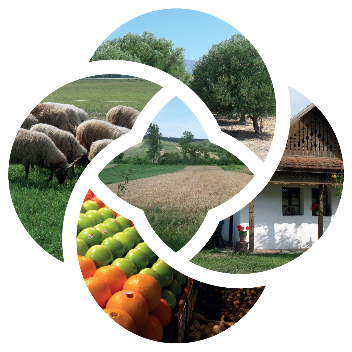 ProjectUniseco's tweet image. Well that&apos;s a wrap from the #EUFarm2Fork conference! Hope you enjoyed our live tweets during the event. For more info on the project, be sure to take a look at our website @EU_H2020 #ProjectUniseco ➡️
uniseco-project.eu

#EUGreenDeal #WorldFoodDay2020 @Thuenen_aktuell