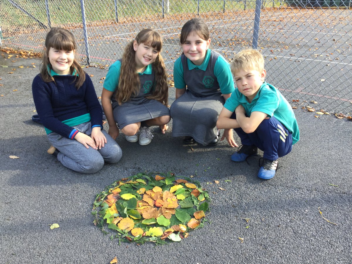 ysgol_y_dderi's tweet photo. Year 4 enjoyed their #100leafchallenge @RFJamesUK ππΏπππΏπ https://t.co/cuf99BNo0A
