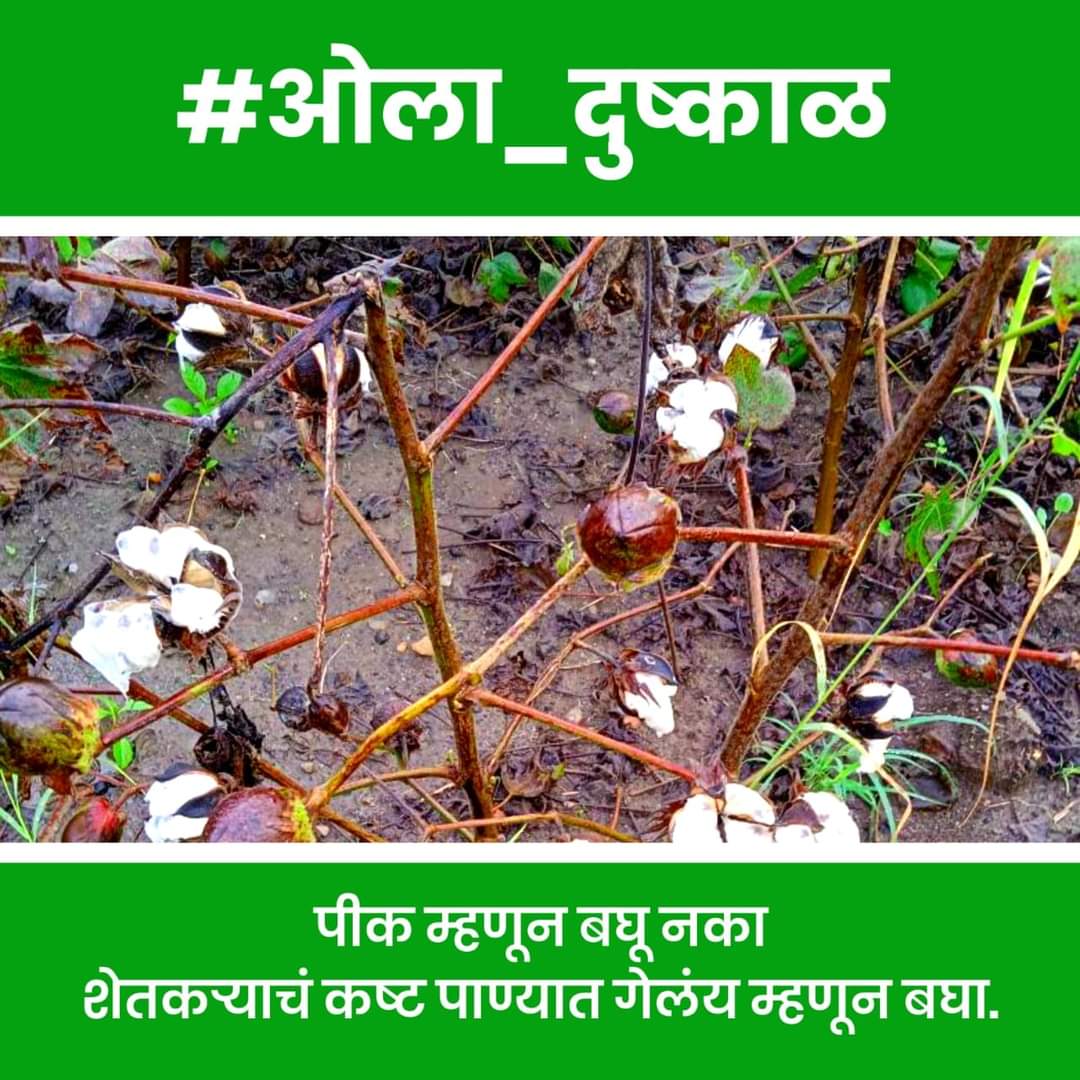 swaruprahane88's tweet photo. अतिवृष्टी मुळं शेती आणि शेतकऱ्यांच अतोनात नुकसान त्याचा अंत आता बघू नका 
लवकरात लवकर ओला दुष्काळ जाहीर करा
@CMOMaharashtra @AjitPawarSpeaks

#ओला_दुष्काळ https://t.co/ynZKNBEBCk