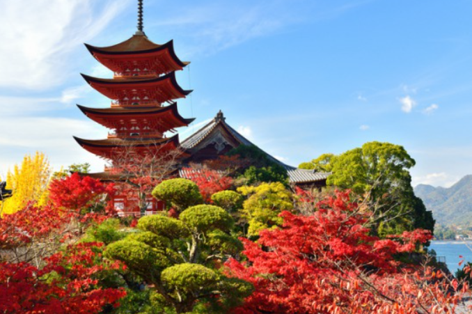 tsunagu_Japan's tweet photo. The #ThreeGreatViews are the best to admire the four #seasons of Japan
🔸 #Matsushima -famous for its bay dotted by pine clad islets
🔸 #Miyajima -famous for its giant #torii gate, which seems to float on the water
#Japan 's Three Great #Views 👇
https://t.co/WOCXGMpWSN https://t.co/2X9xn96GcE