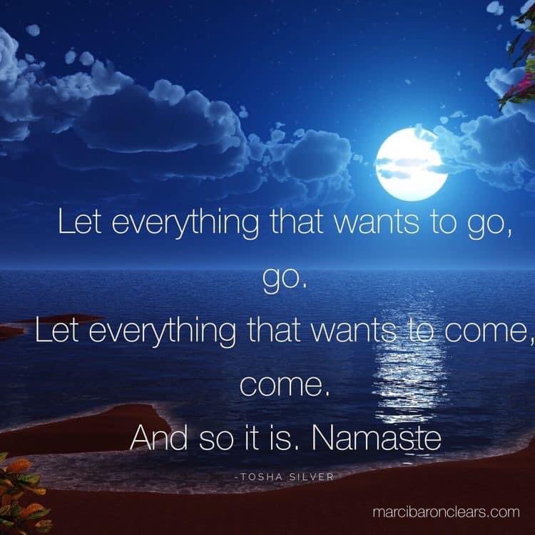 wardy - Rose (@wardy_rose) on Twitter photo 