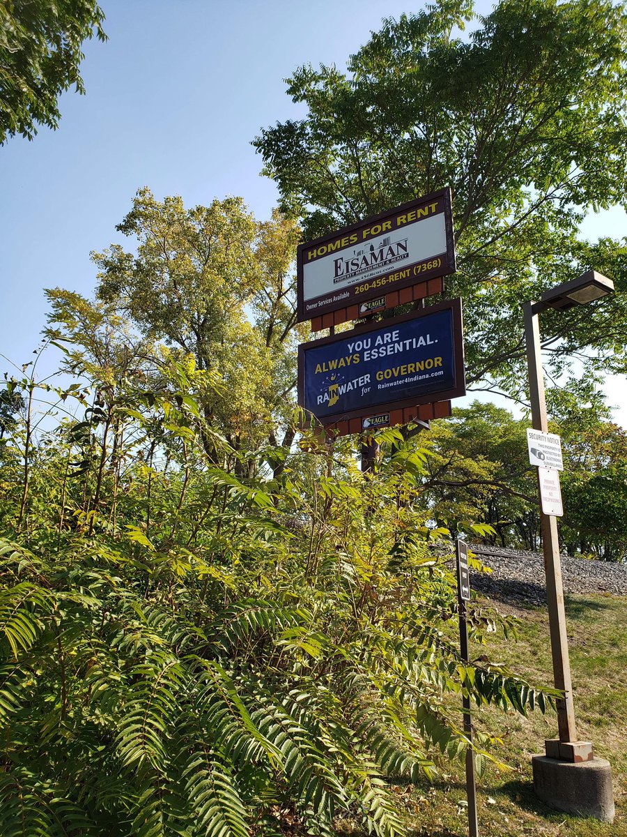 werlibertarians's tweet image. Don Rainwater is running for Governor and has a huge groundswell of support after a poll showing he was at 24% in a three way race. Previously unknown (to party insiders) libertarians are buying billboards across the state on major interstates.