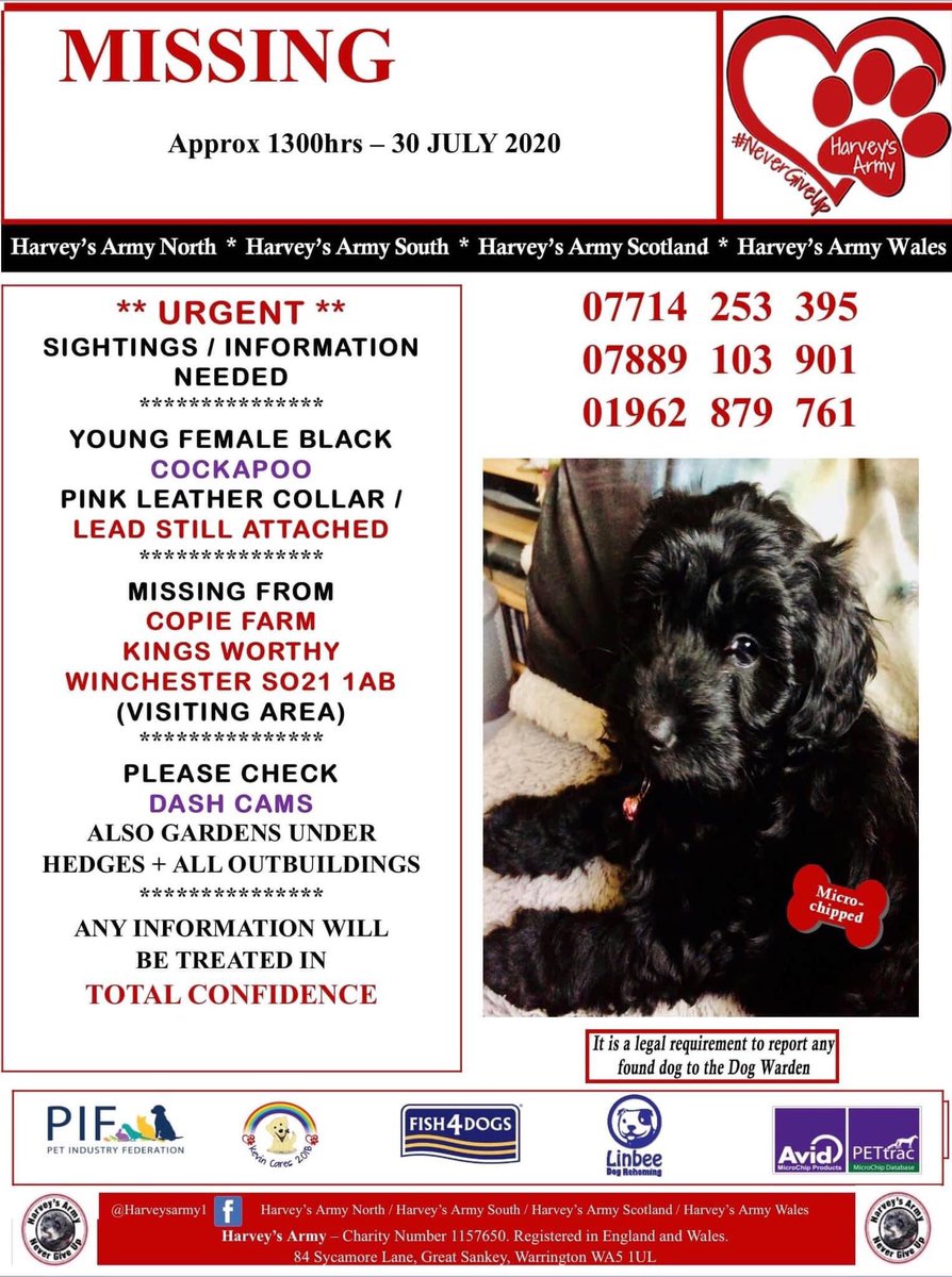 veryluckypugs's tweet photo. 🆘💕🆘 She has now been missing for just over 2 months someone knows where she is please give her back reward no questions ask just take her to a vet please  SHARE SHARE MAKE HER TO HOT TO HANDLE THANKS TO EVERYONE WHO HAS SHARED MY POST OVER THE LAST COUPLE OF MONTHS https://t.co/XfvssLcG81