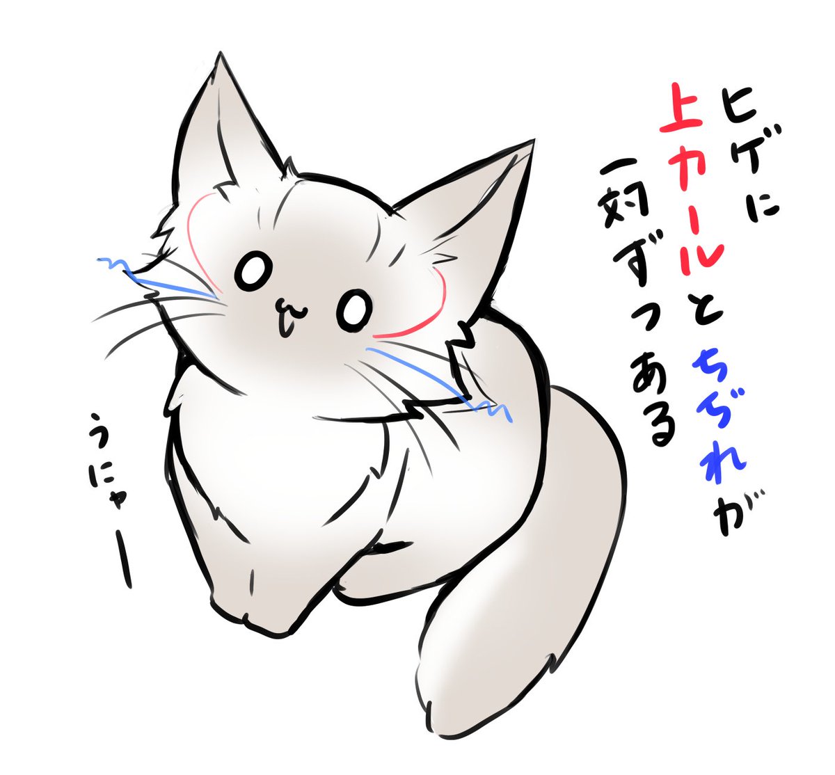 うちの猫様の前から気になってる事 