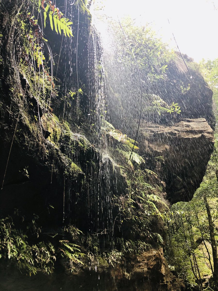 timmorrissey's tweet photo. Can’t wait to visit the Blue Mountains again and do the Grand Canyon walking trail when there’s finally a break in our crazy sports calendar
@escape_au
#escapesnaps
https://t.co/hCzRIMz8Iv https://t.co/TuFEDVwK5w