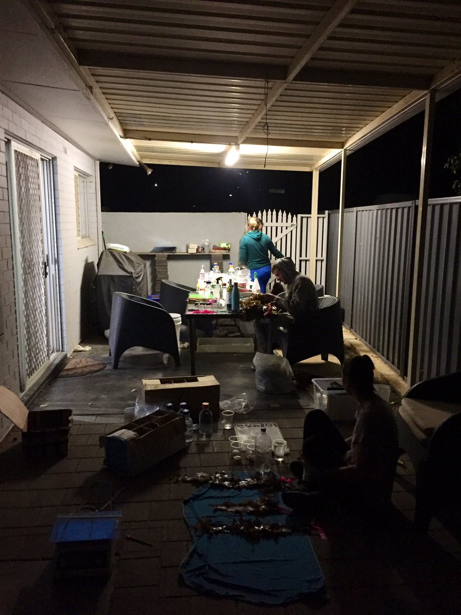 twernberg's tweet photo. Pop-up #seaweed lab w processing into the wee hours in the suburbs of Geraldton (and this is why we never stay in the same airb&b on field trips 😂) @MINNEAntoine @bellsahira @Filbeek @pessa_3 @vranken_sofie @CelinaBurk @uwaoceans https://t.co/fp1vwIfe7r