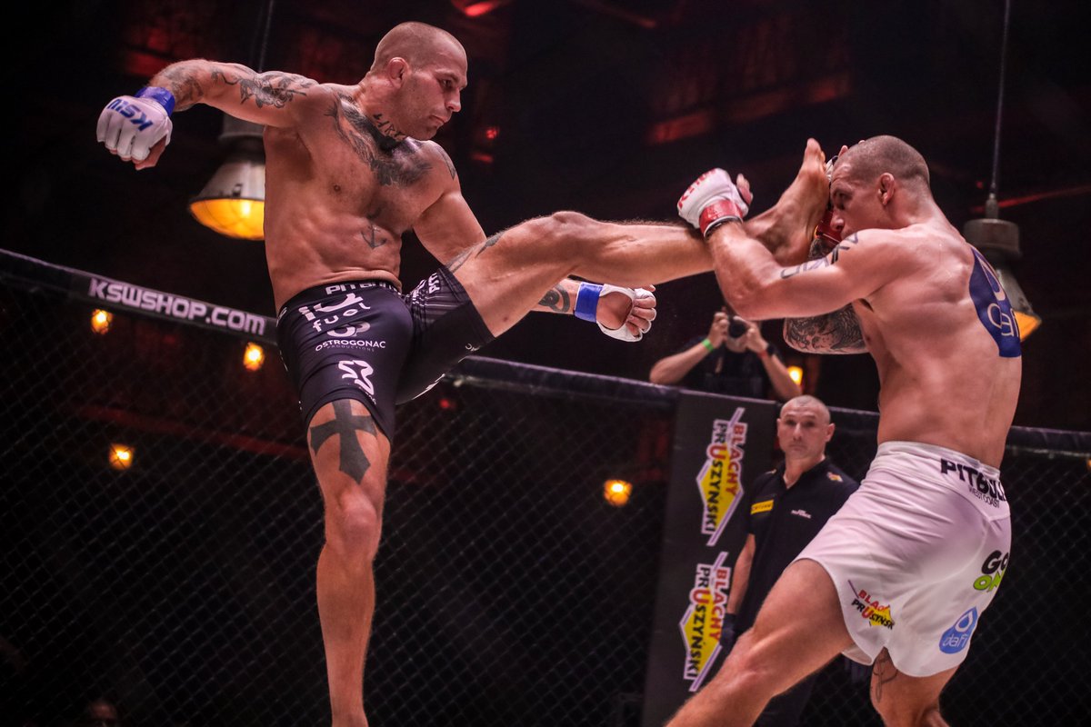 I just love to fight 🇸🇪⚒️👊