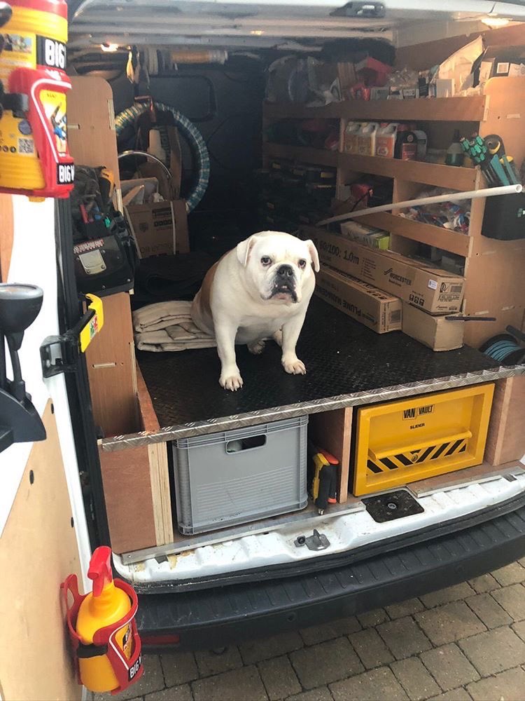 Van Vault tweet media