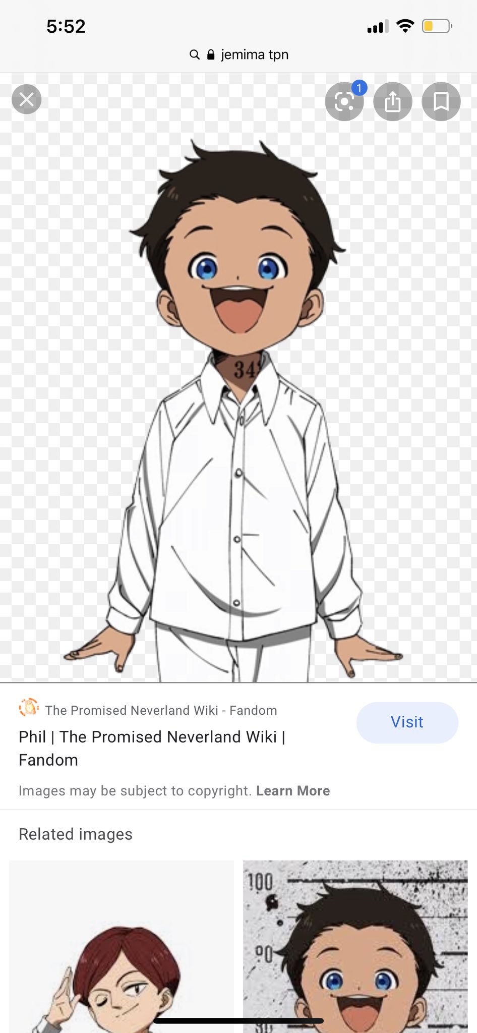 The Promised Neverland Wiki, Wiki