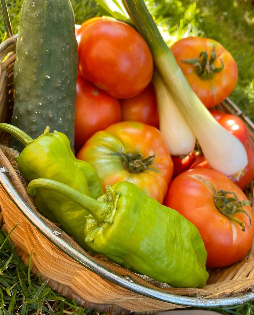 despierta.org tweet media