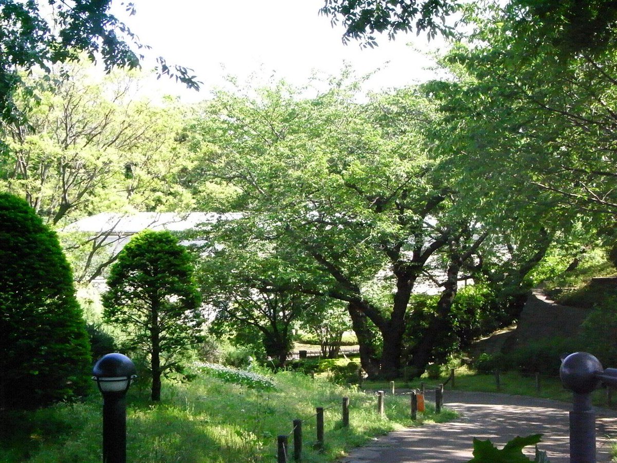 明日も素敵な一日でありますように