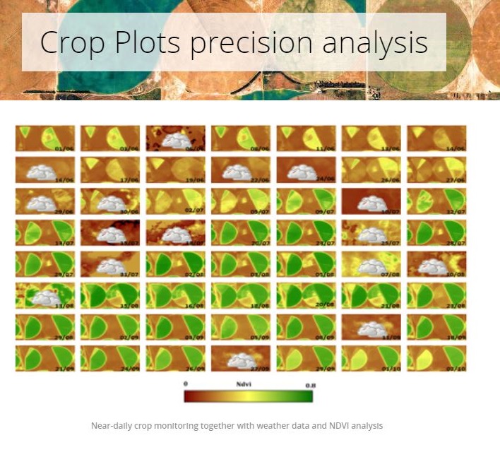 On #WorldFoodDay, we’d like to remind you of the power of our #imagery to boost yield productivity &amp; enhance food security. Visit our website to learn how! #WFD2020 #DEIMOS1 #HighRevisit #PrecisionAg #SmartAgriculture
ow.ly/5Hrz50BS20R