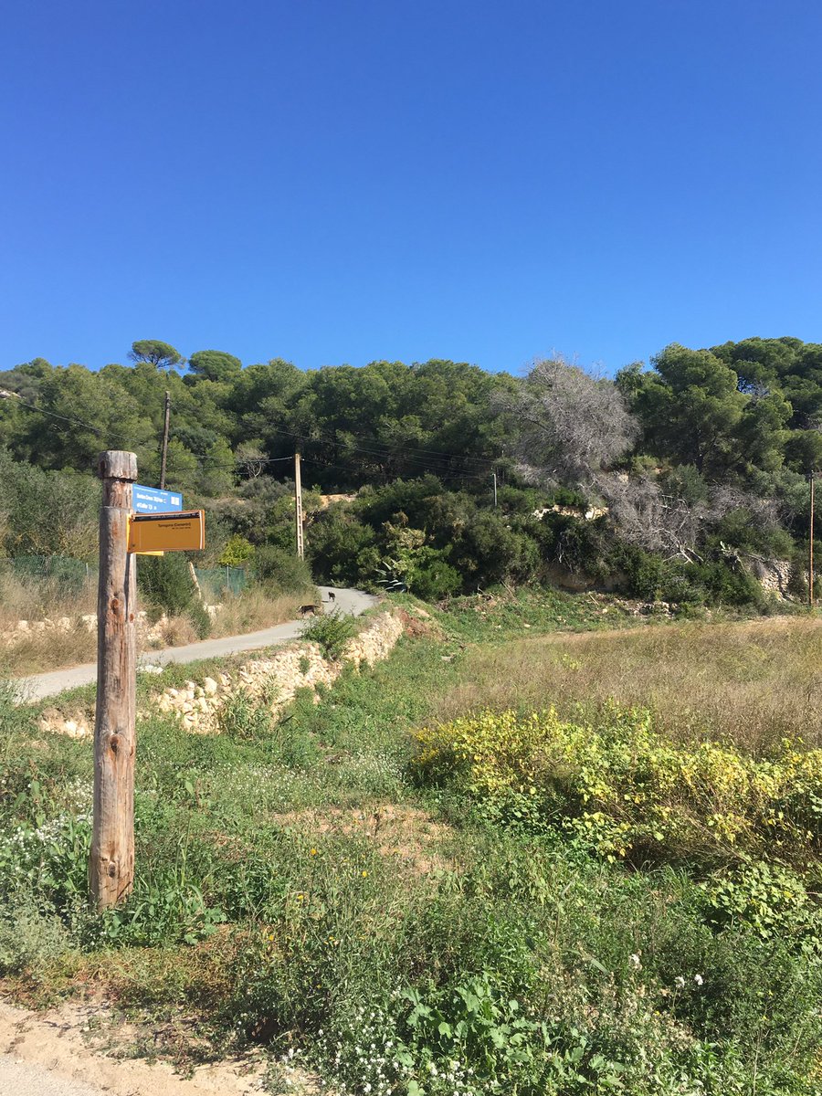 Compte si passeu pel camí de les Coves del Llorito. M’acaben de sortir 3 pitbulls des d’un mas amb les portes obertes i m’han atacat. Posteriorment li han fet el mateix a un ciclista i a una parella que passejaven per allí. Per sort només han mossegat roba.Avisat a GU. #tarragona