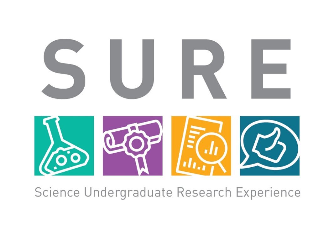 Aoconnor_PhD's tweet photo. Well done to all students, including AIT students, participating in #SURE2020 conference. Very informative and interesting presentations this morning! https://t.co/jcHMTdmyPn