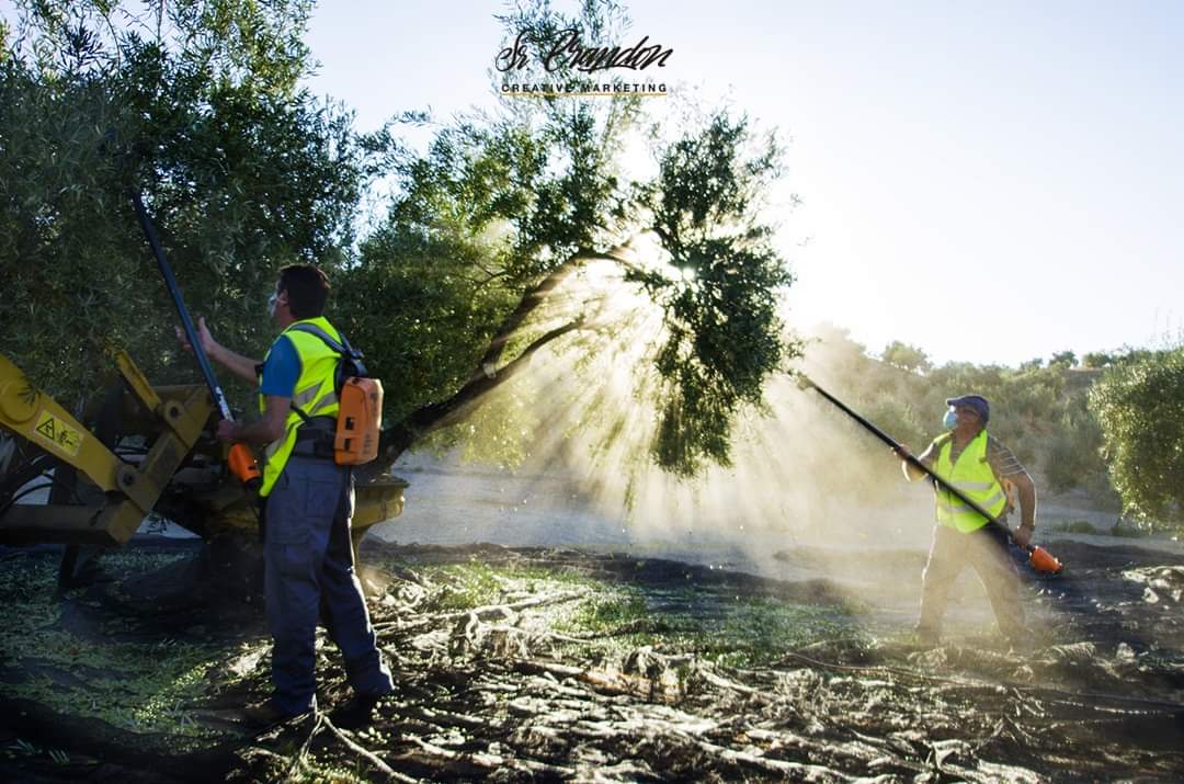 Madrugones que merecen la pena. 😎
Otro proyecto que pronto verá la luz... 🧐
#RedesSociales #Jaén #Marketing #Publicidad #Imagen #Fotografia #Vídeo #AOVE