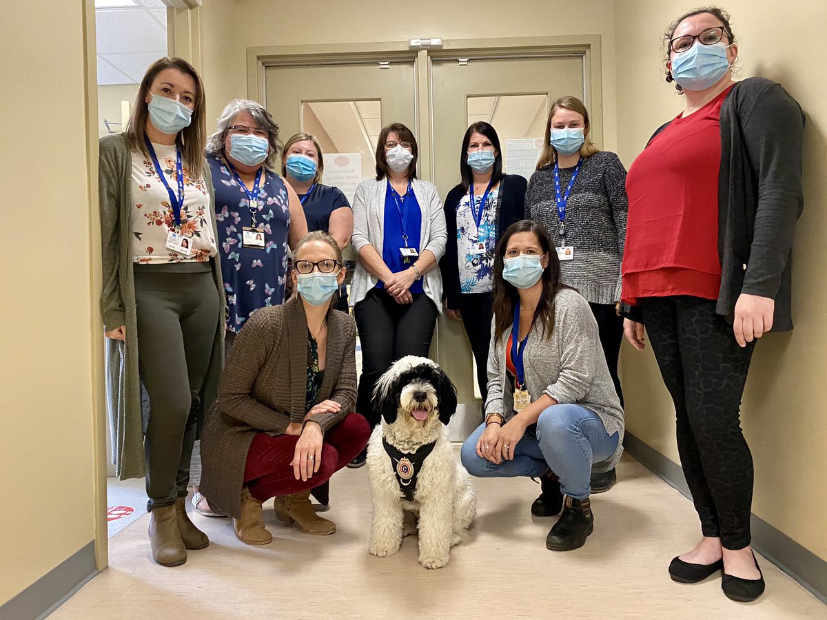 PSD_Stella's tweet photo. So many #MentalHealth resources available at @WesternHealthNL with fantastic managers, staff & teams by their side. Great job everyone! 🙌🏻🙌🏻 @HCS_GovNL @Johnrockdoc @CMHANL #HumberwoodCentre #Doorways #BlomidonPlace #FACTteam #MCRT #StellaCBVisit
🐾Stella https://t.co/ZwjIUubdZe