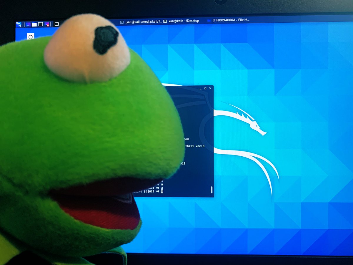 UK_Daniel_Card's tweet photo. Kermie is over the moon! He just got root! All he needed was a USB key 🔑 some training from YouTube and a stolen (borrowed) laptop and he’s not got local administrator acces via hash cracking #hacker #frog #muppetlife #KermieHax #pentesting #cyber #security https://t.co/0dTwZ5Y47E