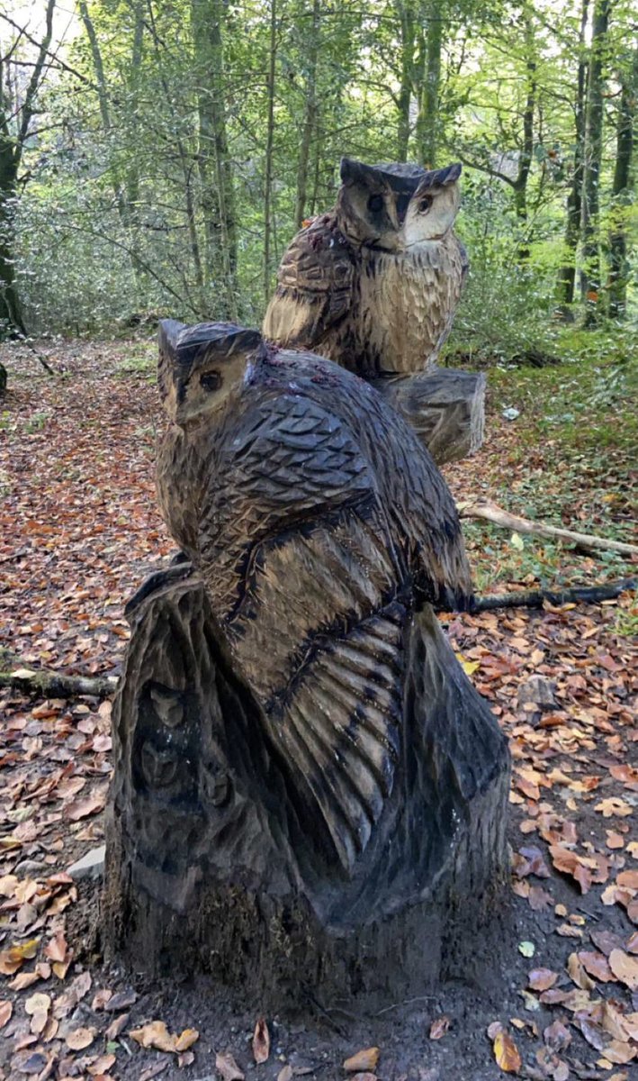 MolloyMaryann's tweet photo. What a resource to have on our door step.. 3rd year art photography trip to @Drumboewoods today, exploring the art elements @jctVisualArt @artteachers_ie #wellbeing #Donegal @donegalcouncil #StaySafe #Stayinyourcounty #GoodMorning #lovemyjob https://t.co/iOkHxW3Gjq