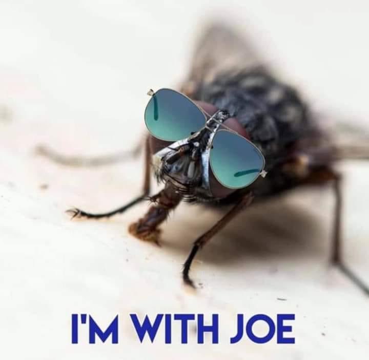 <a href="/realDonaldTrump/">Donald J. Trump</a>