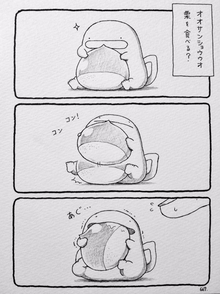 オオサンショウウオ、栗を食べる? 
