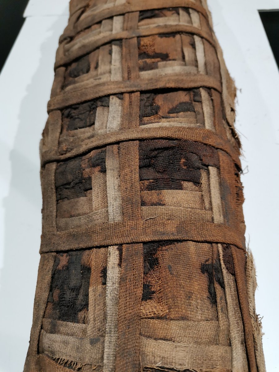 My phone seemed to think I was photographing clouds, but what is this @TheEgyptCentre object? Full photos to be posted tomorrow! https://t.co/nBk4RSpb4n