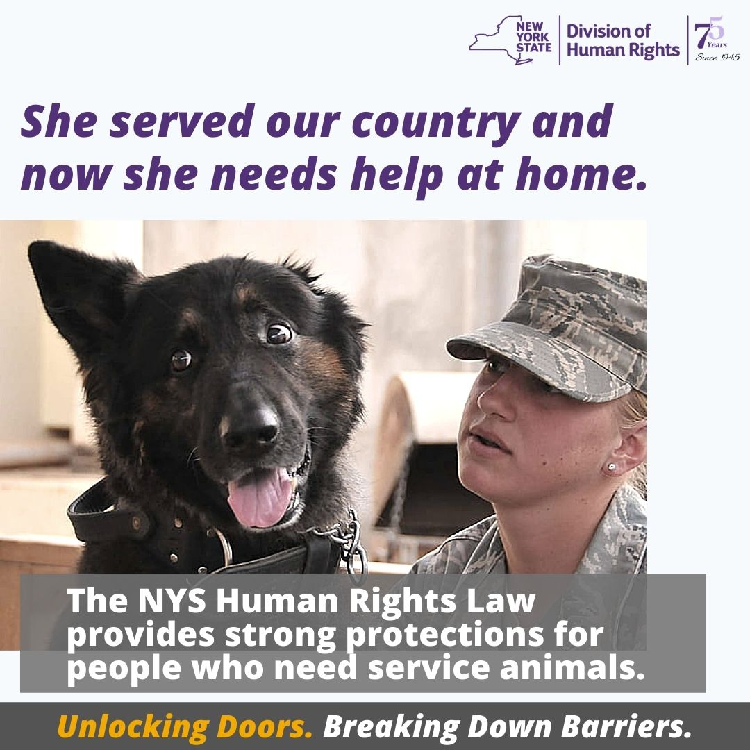 NYSHumanRights's tweet image. Some veterans may require a service or therapeutic animal. The NYS Human Rights Law protects that need. 

#fairhousingmattersny #unlockingdoors #breakingdownbarriers #NY4FairHousing

dhr.ny.gov/fairhousing
844-862-8703
