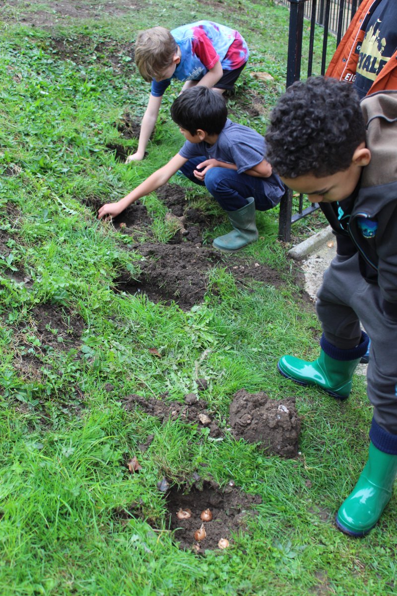 #Bulb planting is in progress at @BansteadPrep. We can't wait to see the flowers growing!
#MuftiDay #FridayFun