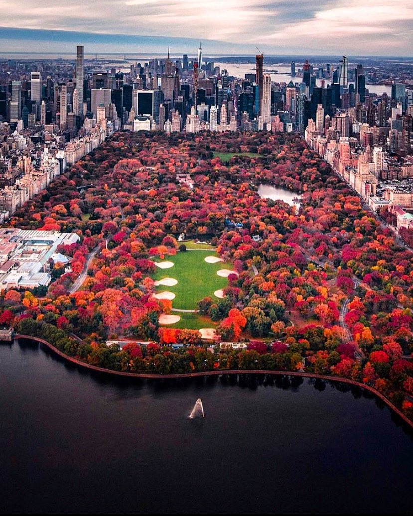 Concrete Jungle. Nothing like fall in New York City!⁣
Credit- craigsbeds⁣
#nycprimeshot #condenasttraveller #what_i_saw_in_nyc #wonderful_places #natgeo #ig_worldclub #bucketlisters #earth #beautifuldestinations #ig_all_americas #icapture_nyc #bealpha #usaprimeshot #ig_color