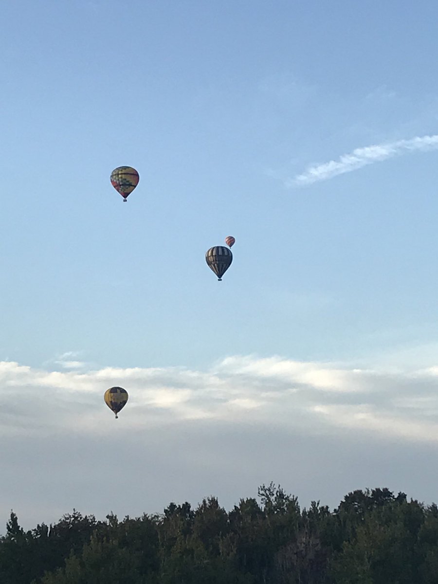 David Martella tweet media