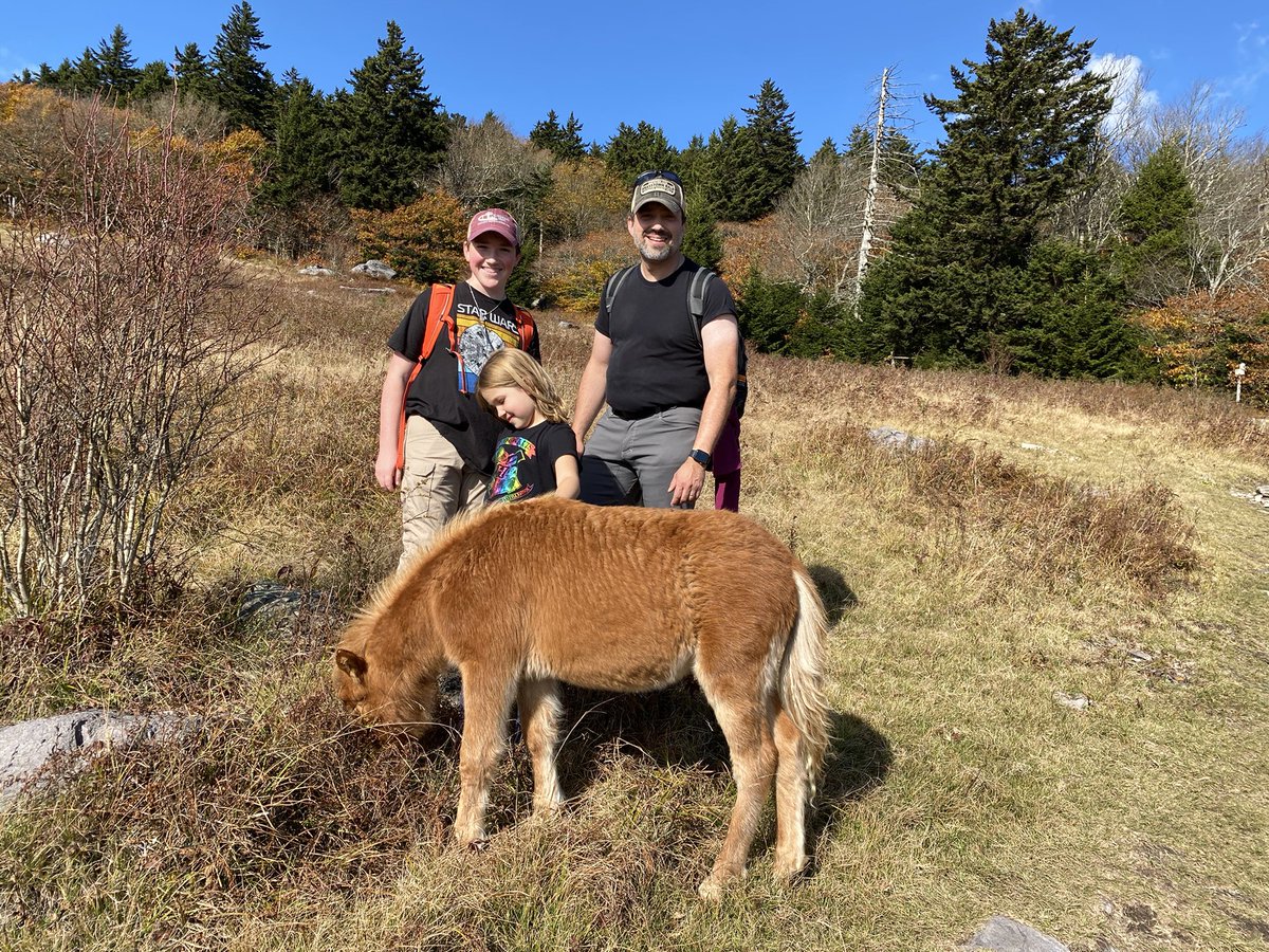 justinmeats's tweet photo. State Highpoint #16: Mount Rogers, VA on Day 4 of our #AppalachianHighpointsTrip. Itinerary & trip updates: https://t.co/AHKV4wDjxy #highpointers @highpointers https://t.co/28rSmYHyfH