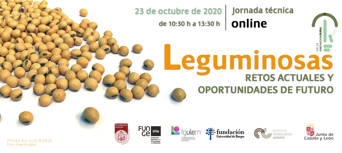 fgusal's tweet photo. #RedDeInnovaciónRural | La semana que viene tenemos una cita con las #Leguminosas.  Si te interesan su cultivo y posibilidades, consulta el programa e inscríbete a la jornada #online gratuita. 🌱🌱🌱

ℹ️ https://t.co/pClq6NcYjY

 @ITACYL  @FundacionUBU @fungeuva @FGULEM https://t.co/gkjLY1RUz0