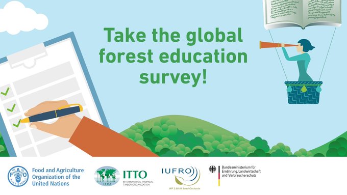FAOForestry's tweet image. Just two weeks left to take the global forest education survey! bit.ly/3iKq7Yk #globalforesteducation 

@IUFRO @itto_sfm