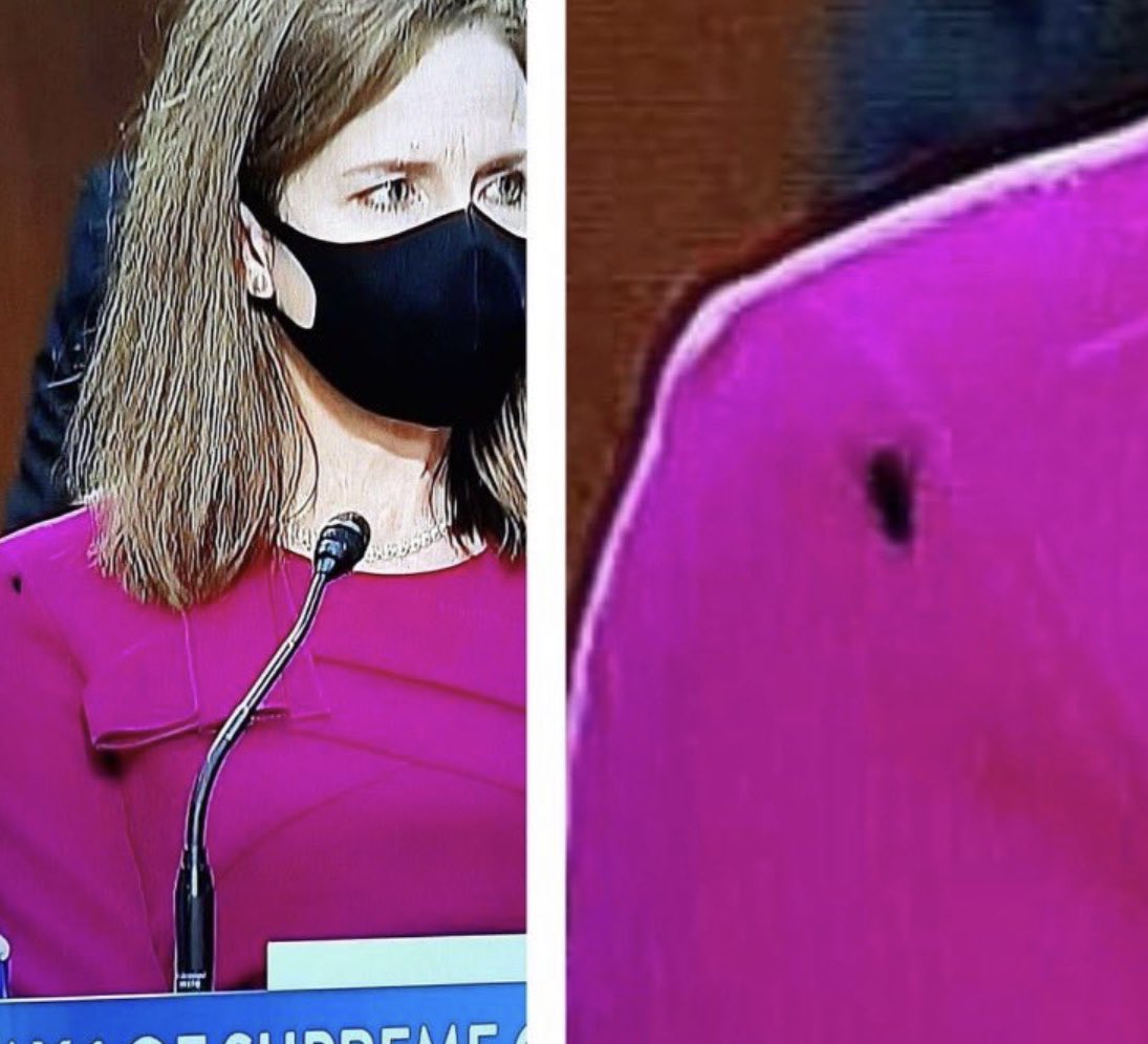 "If you do not let my people go, I will send swarms of flies on you and your officials, on your people and into your houses. The houses of the Egyptians will be full of flies, and even the ground where they are."
Bible: Exodus 8:21