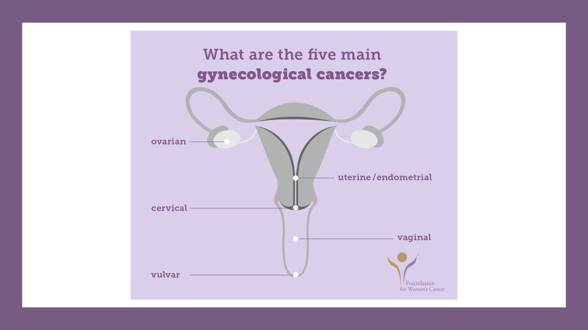 MSKCC Team Uterus (@teamendo_msk) on Twitter photo There are 5 main types of gynecological cancer. Do you know them all? Click this link to read about risk factors for each type!
foundationforwomenscancer.org/gynecologic-ca…
#FactFriday #GYNcancer #uterinecancer #ovariancancer #cervicalcancer #vulvarcancer #vaginalcancer
<a href="/GYNCancer/">FdtnForWomensCancer</a> <a href="/SGO_org/">SGO</a> There are 5 main types of gynecological cancer. Do you know them all? Click this link to read about risk factors for each type!
foundationforwomenscancer.org/gynecologic-ca…
#FactFriday #GYNcancer #uterinecancer #ovariancancer #cervicalcancer #vulvarcancer #vaginalcancer
<a href="/GYNCancer/">FdtnForWomensCancer</a> <a href="/SGO_org/">SGO</a>