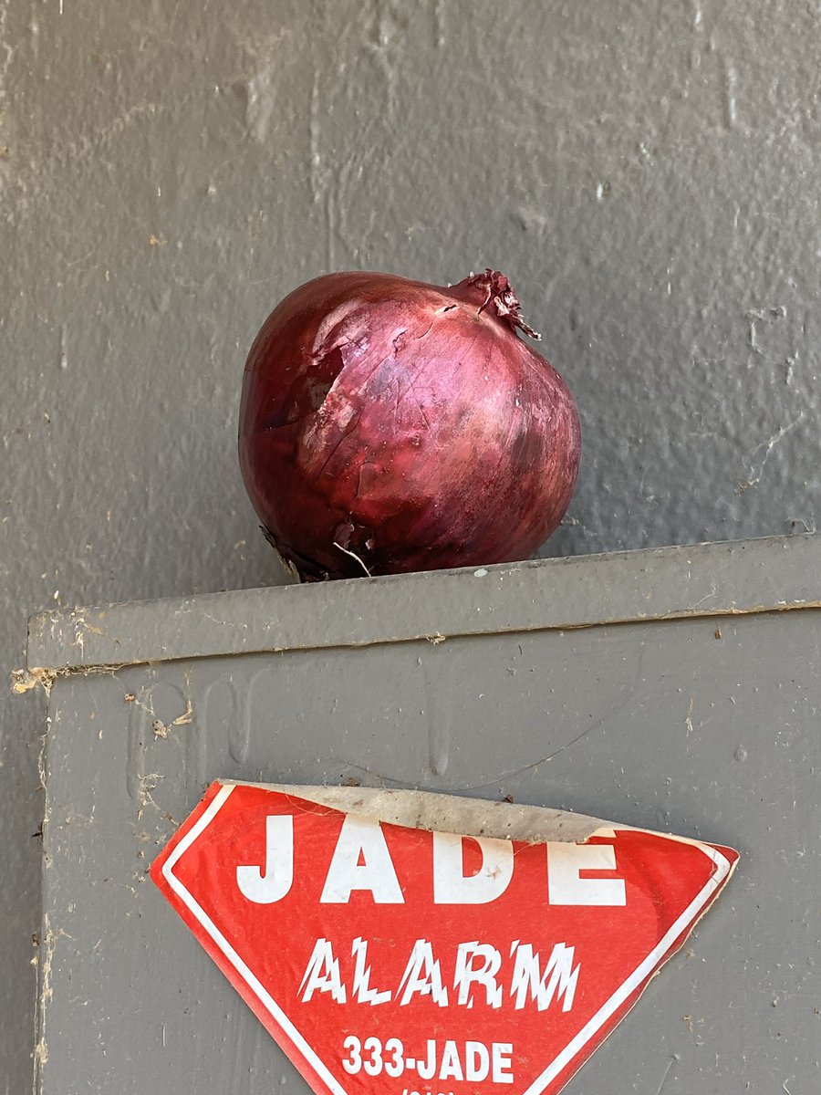 the onion! he watches over us