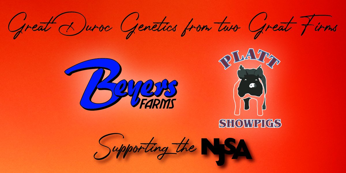 NationalSwine's tweet photo. Beyers Farms & Platt Showpigs are donating two Duroc gilts to support #NJSA. McGrew Showpigs & Sam Malcolm & Family Farms are donating two Landrace gilts to support the #OYE Landrace program. These gilts will be sold at #NSR #FallClassic2020 Weanling Sale on Fri., Oct. 23. https://t.co/u5ZGzgZMiv