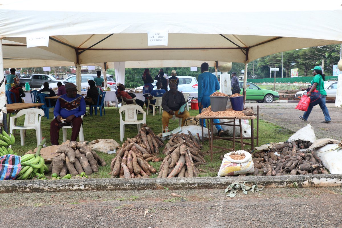 UN_Cameroon's tweet image. #Cameroon🇨🇲 is home to some of the best savory delicacies in the world. We especially celebrate every Agriculturist/Farmer, for their hard work and efforts in sustaining food security and livelihoods. #WorldFoodDay2020