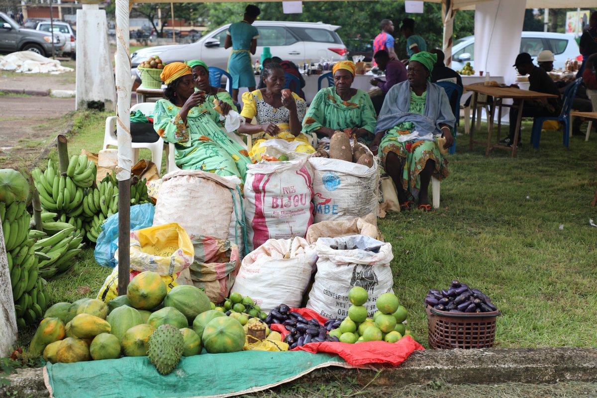 UN_Cameroon's tweet image. #Cameroon🇨🇲 is home to some of the best savory delicacies in the world. We especially celebrate every Agriculturist/Farmer, for their hard work and efforts in sustaining food security and livelihoods. #WorldFoodDay2020