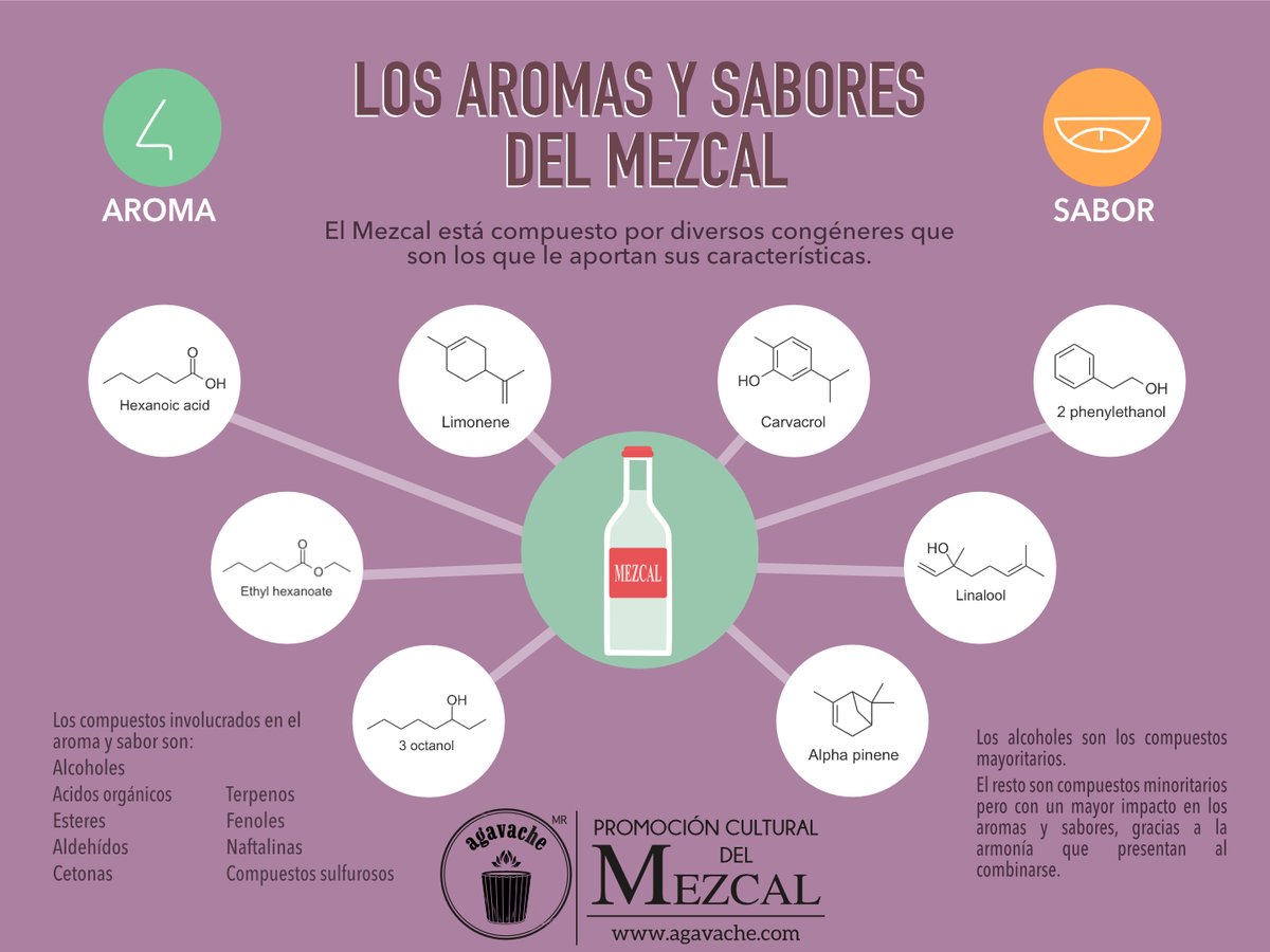 En esta infografía se presentan los compuestos químicos de los aromas de la publicación anterior.
Con estudios de cromatografía de gases es posible conocer los compuestos aromáticos que integran al mezcal  y en este link podrás encontrar más info: 👉🏽bit.ly/AgavacheBlog27